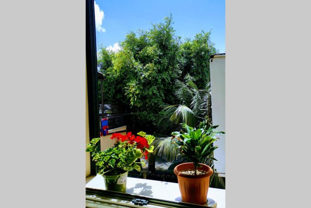 La Casetta Di Giuli Apartment ปาแลร์โม ภายนอก รูปภาพ